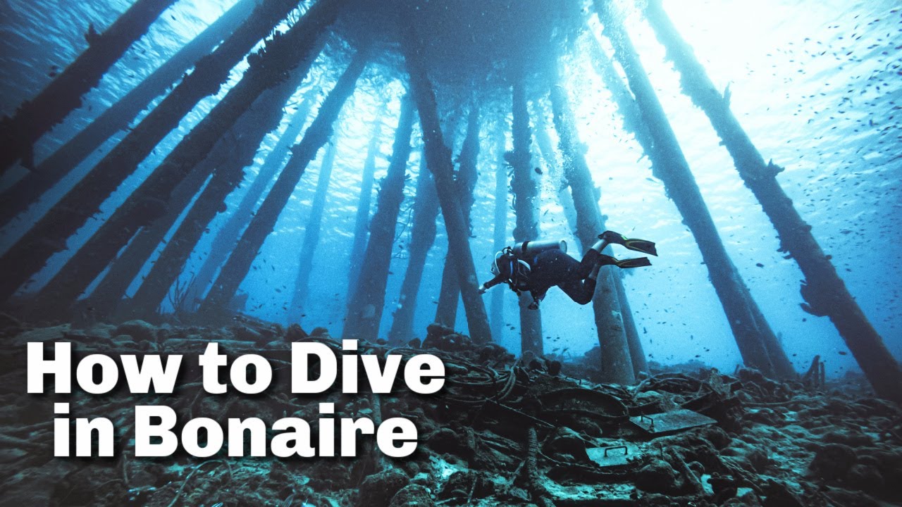 How to Dive in Bonaire | East Coast Diving Bonaire