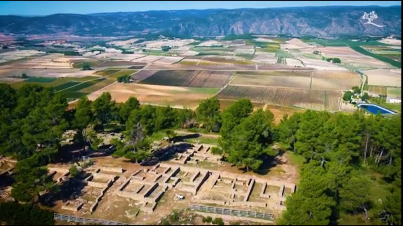 Un viaje por la Denominación de Origen Valencia