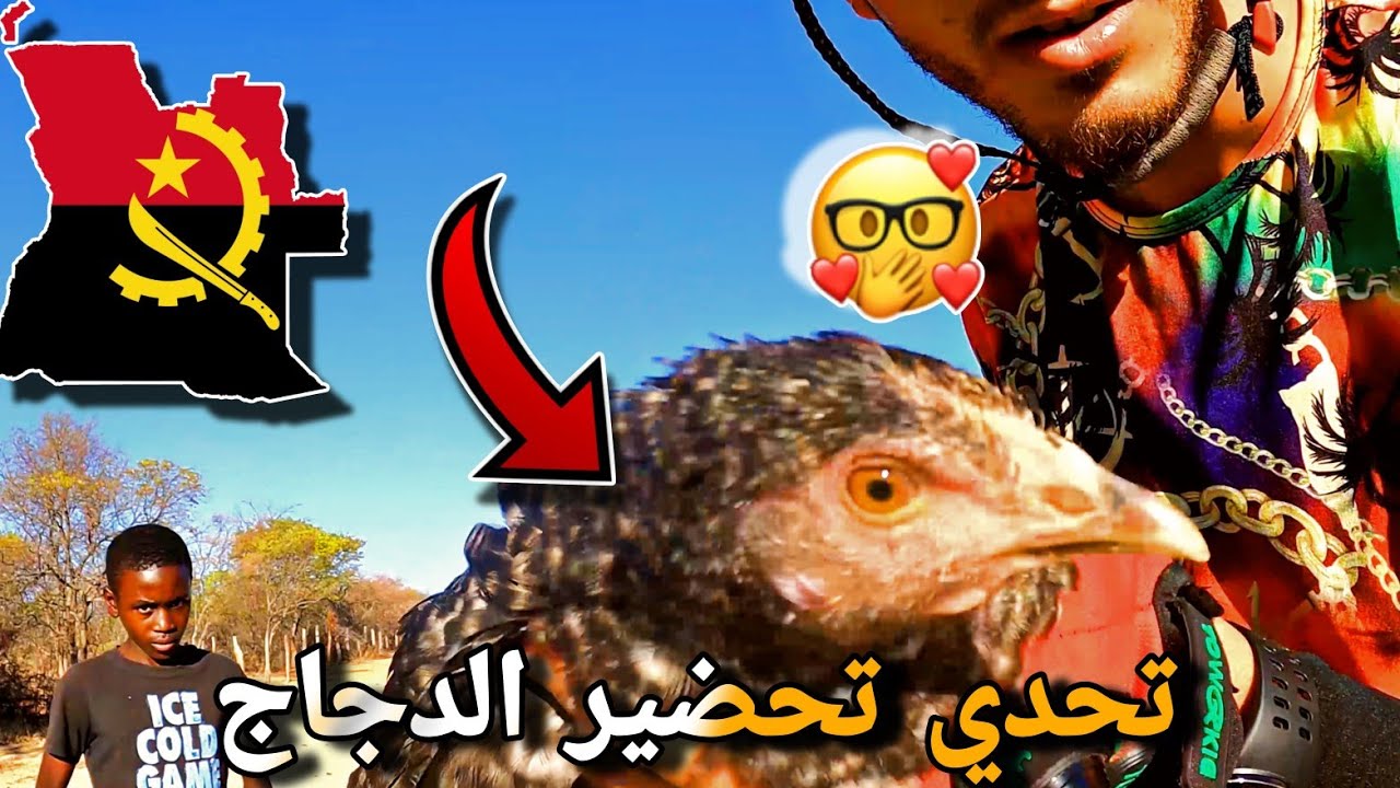 150 | حياة البرية: تحدي تحضير الدجاج لوحدي في أدغال أنغولا لأول مرة في هذه الرحلة