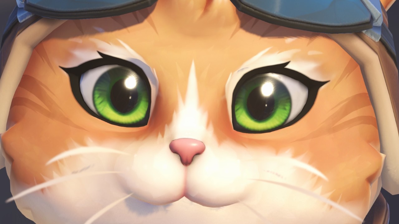 The Jetpack Cat Wants You To Click The Video