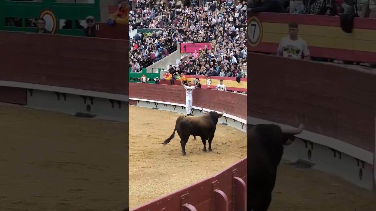 🔥 Salto de &Aacute;lex Felipo 'Pipo' en el concurso de recortadores de Castell&oacute;n 📹 martitah93