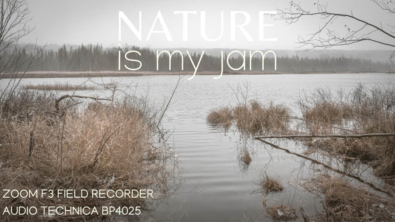 A Big Wind on Otter Creek: Zoom F3 and Audio Technica BP4025