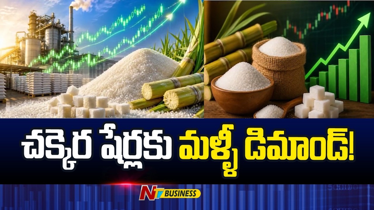 చక్కెర షేర్లకు మళ్ళీ డిమాండ్! | Why Sugar Stocks are Rising? | NTV Business