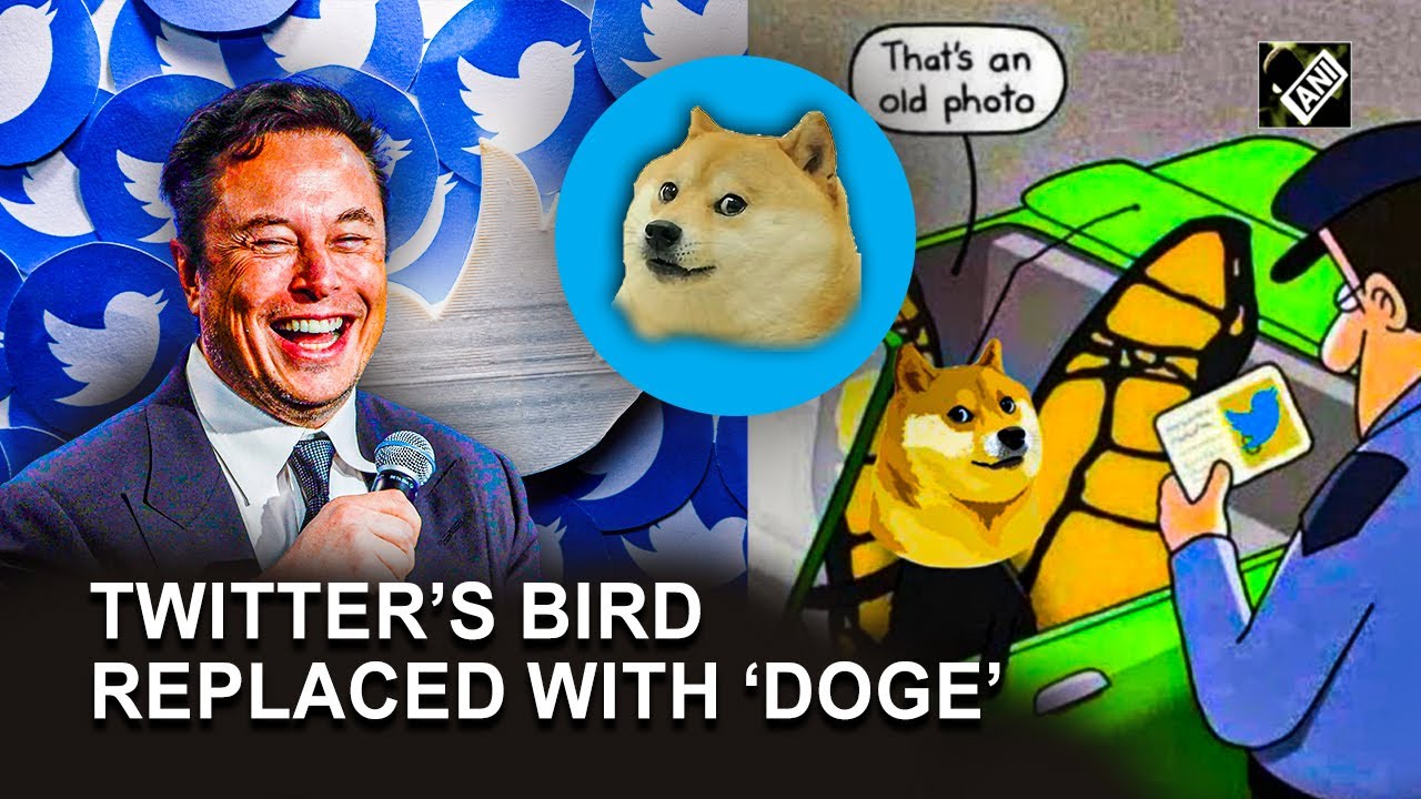 Elon Musk replaces Twitter&rsquo;s Blue Bird logo with &lsquo;Doge&rsquo; meme, amazes netizens once again