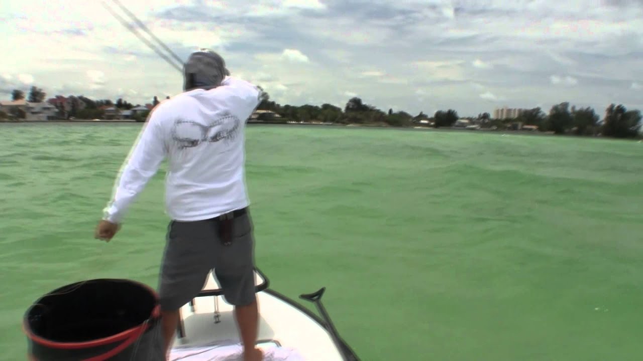 Fly Fishing for Tarpon