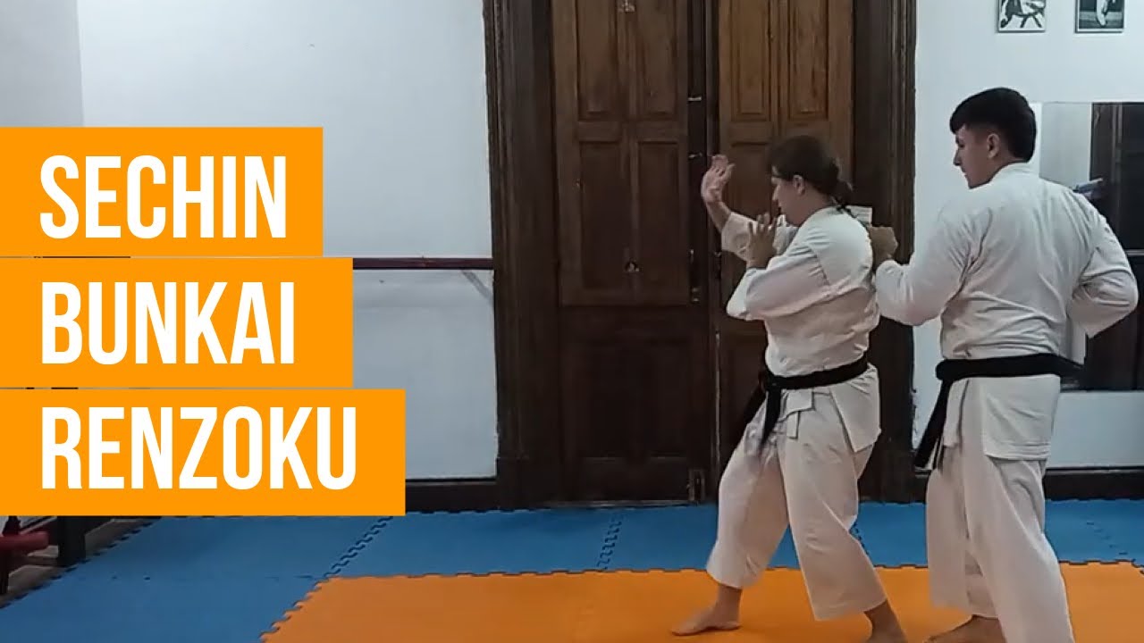 Sechin bunkai Renzoku - Fundamentos y ejercicio base