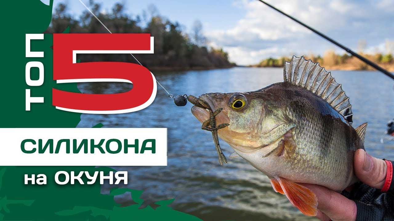 ТОП 5 силиконовых приманок на окуня от Артема Некряча