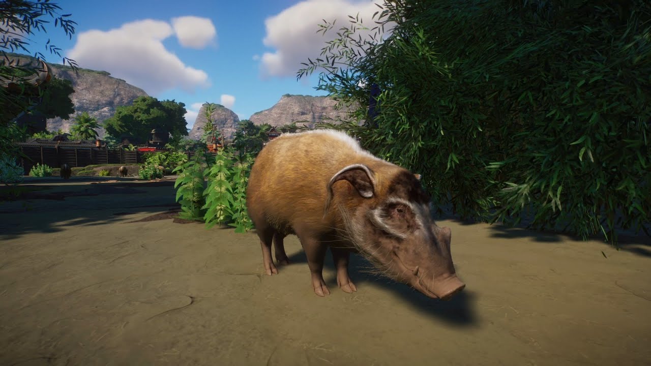 Planet Zoo (PC)(English) #147  6 Minutes of Red River Hog (Tropical DLC)