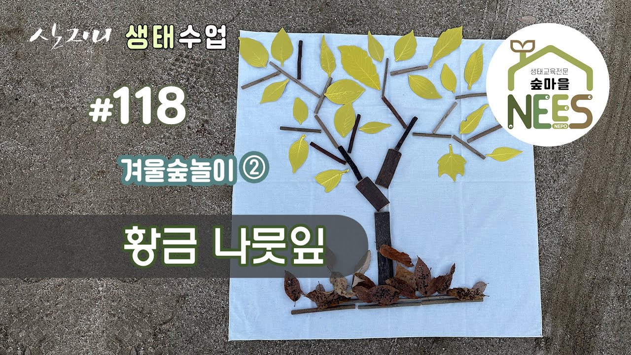 [산지니 생태수업] #118  황금 나뭇잎