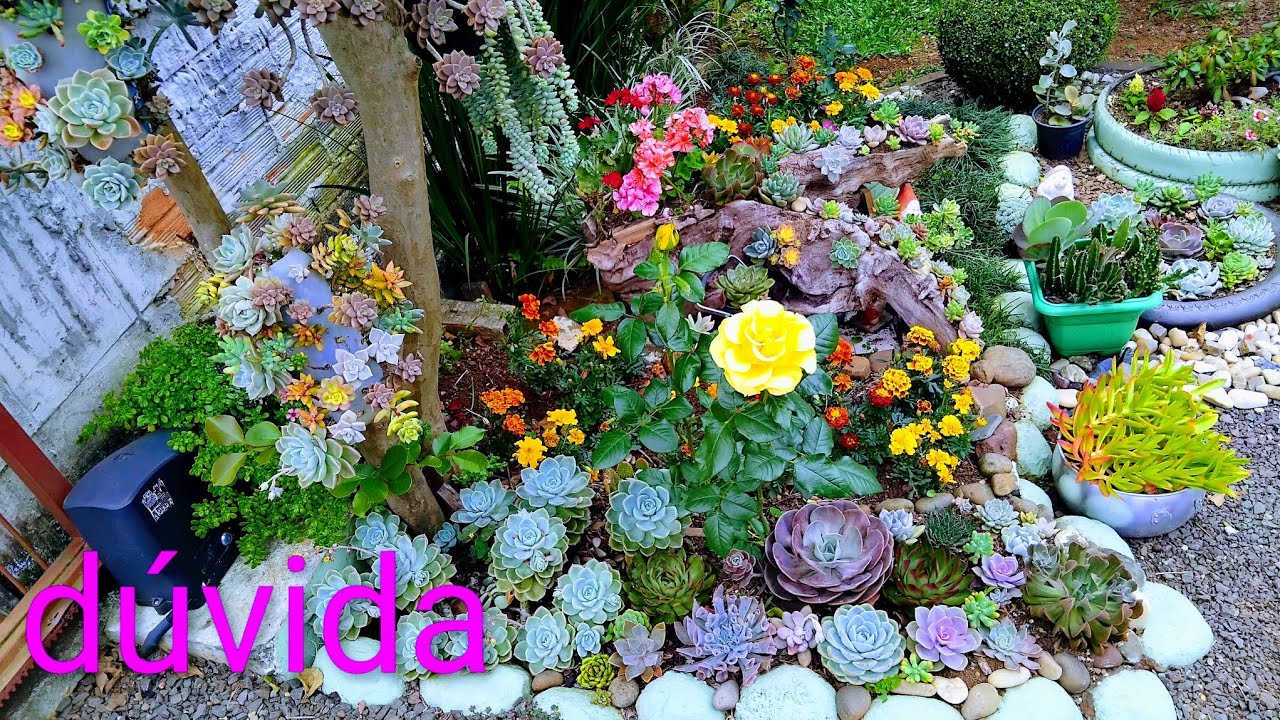 As flores mais lindas do mês  meu jardim cada dia  me surpreende  🌼🌹
