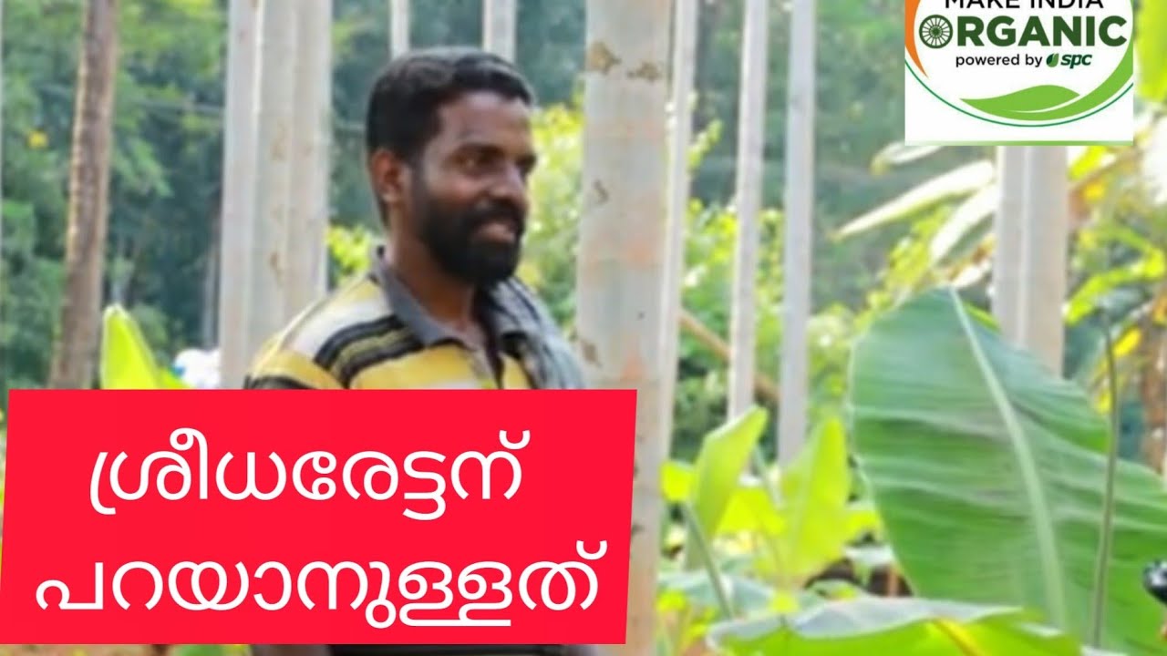 S P C യുടെ BIO POWER വളം,  ഇത്രക്കും പ്രതീക്ഷിച്ചില്ല.