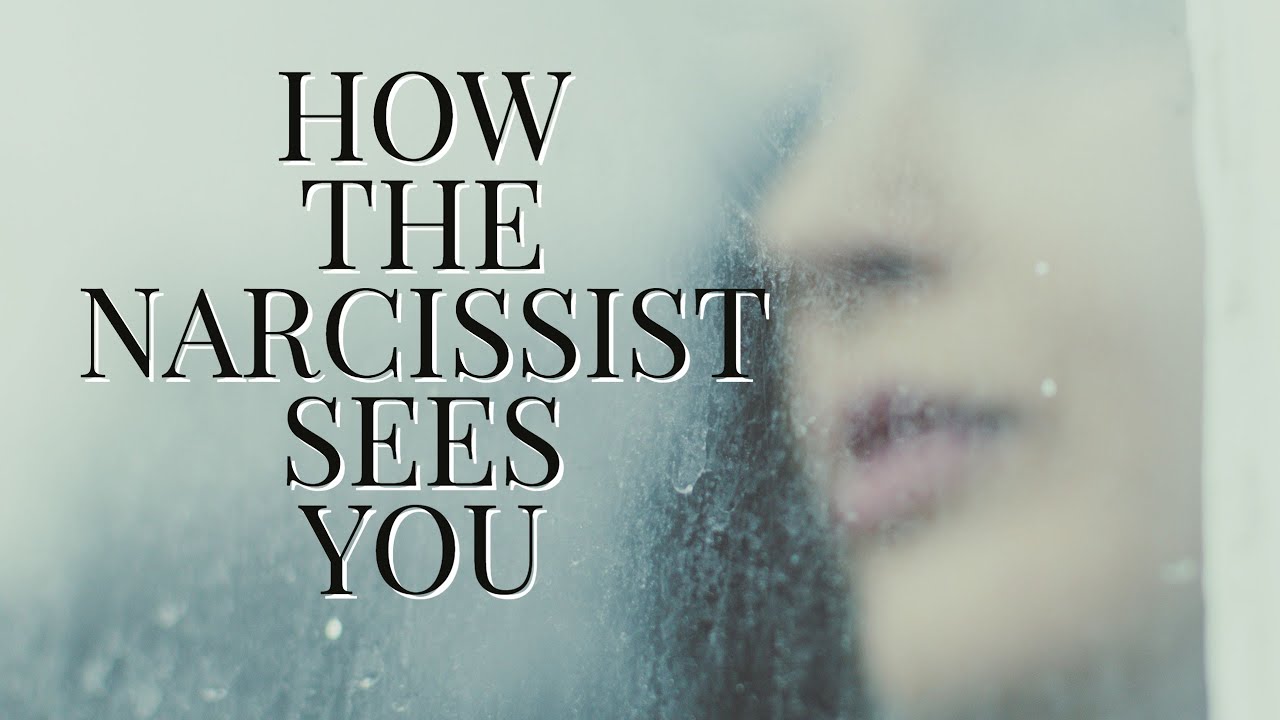 HOW THE NARCISSIST SEES YOU