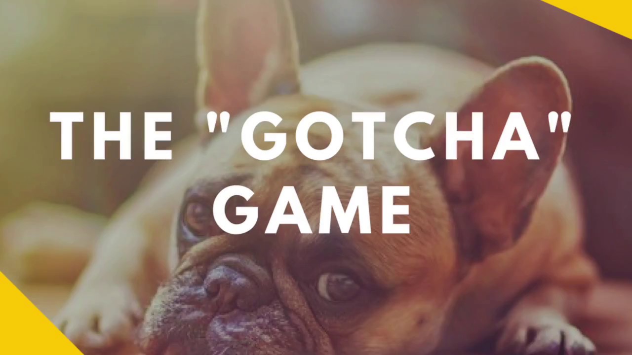 The Gotcha Game - Teaching Your Dog To Love Being Caught