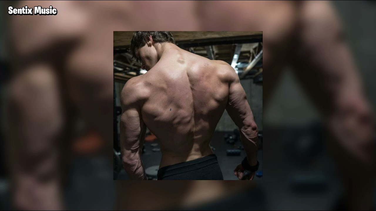 David Laid X Sexy B Slowed | Gym Motivation