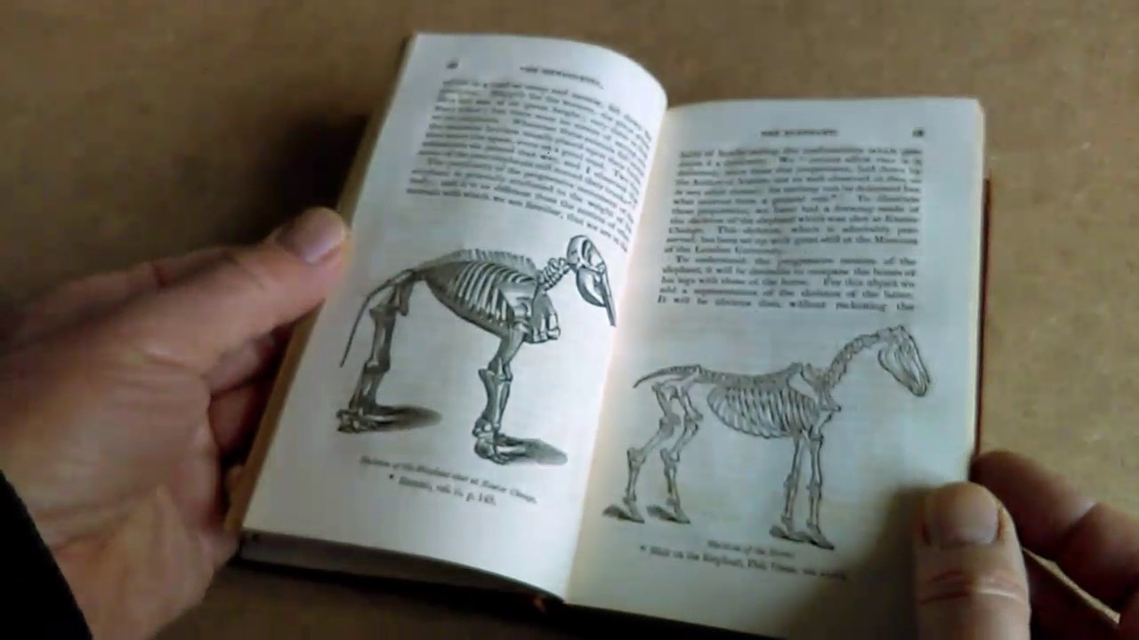 SCARCE ILLUSTRATED GEORGIAN BOOK on the ANATOMY, HABITS and HISTORY of ELEPHANTS