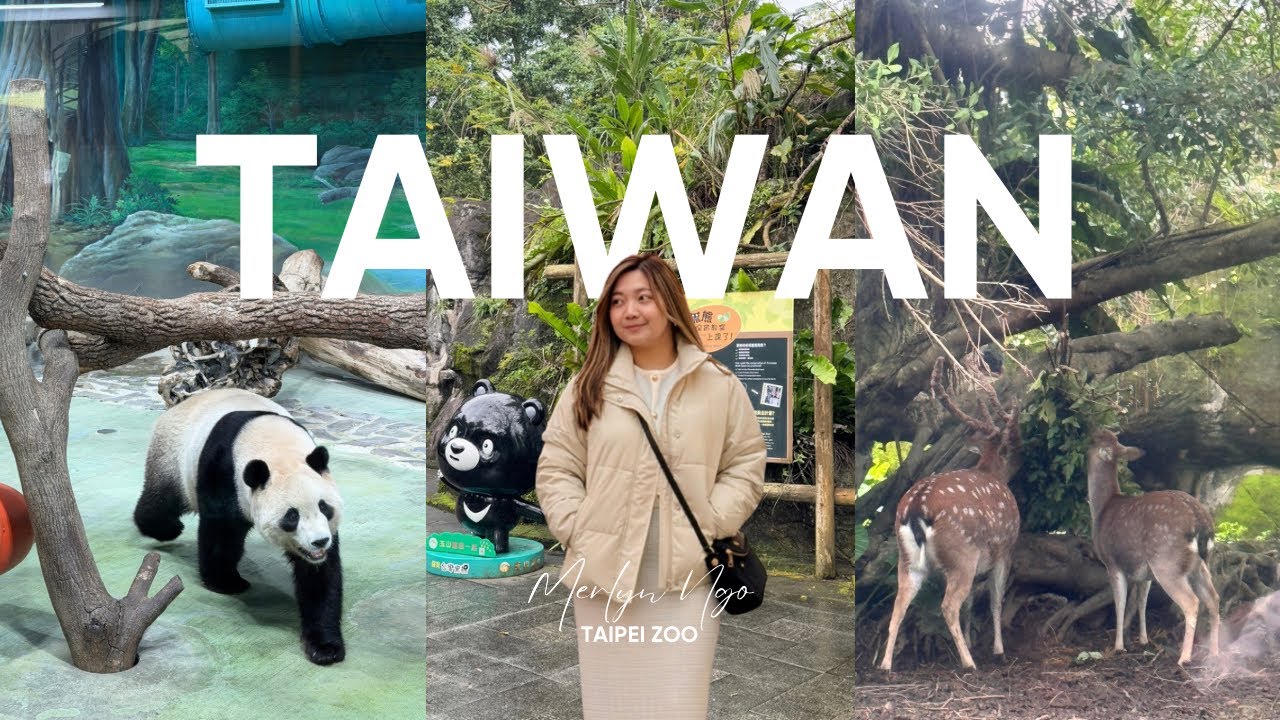 Let's Explore TAIWAN | Taipei Zoo + Visiting Giant Panda + Souvenir Shop