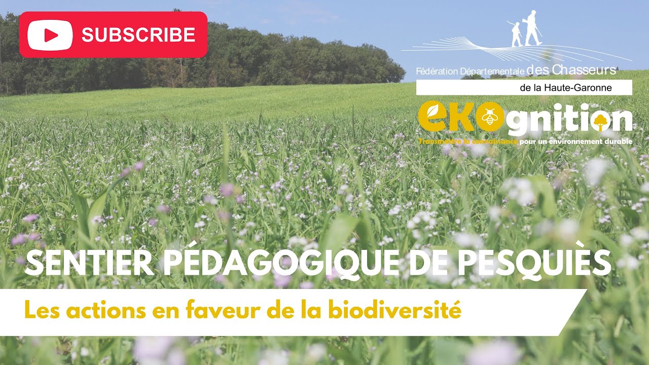 [EKOGNITION] : Les actions de la FDC31 en faveur de la biodiversité