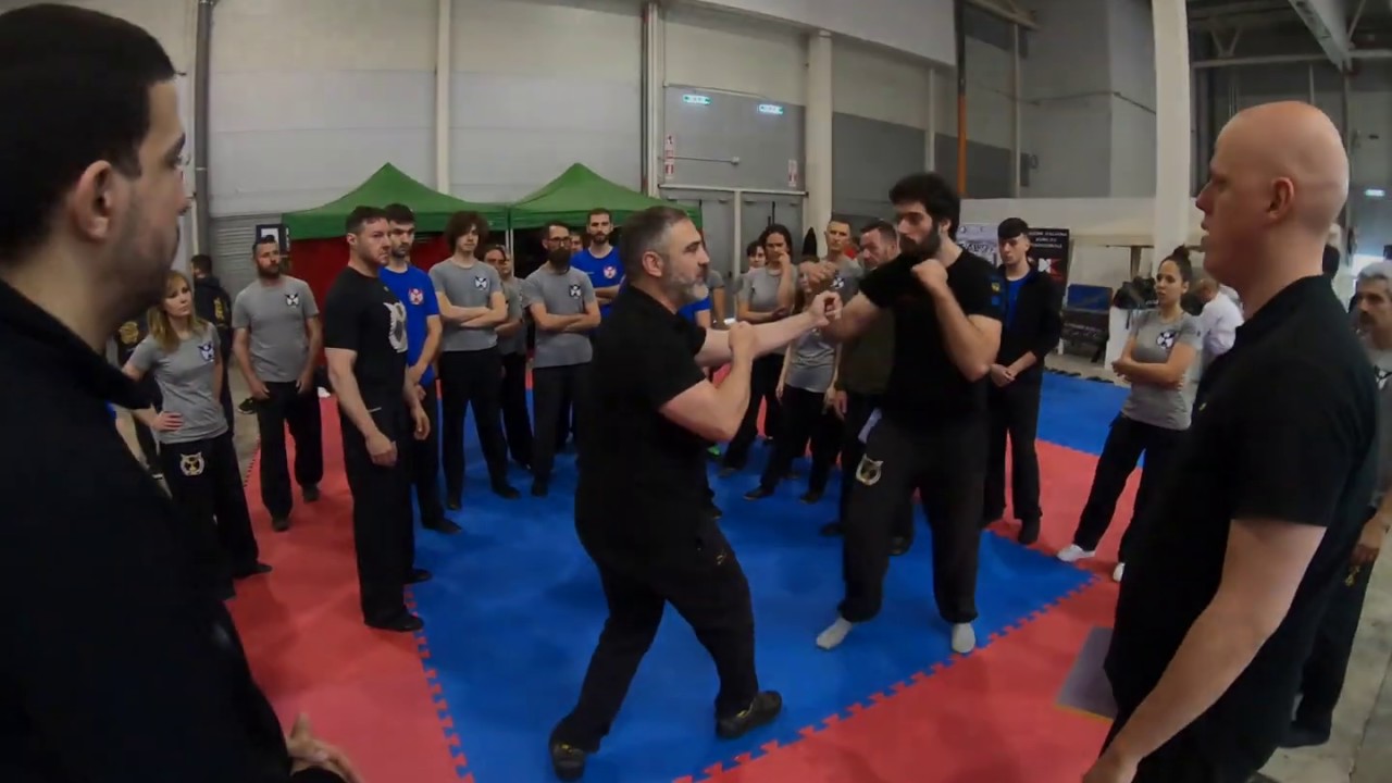 Scuola Italiana Difesa Personale   Festival Oriente   Stage SiFu Francesco Procaccin