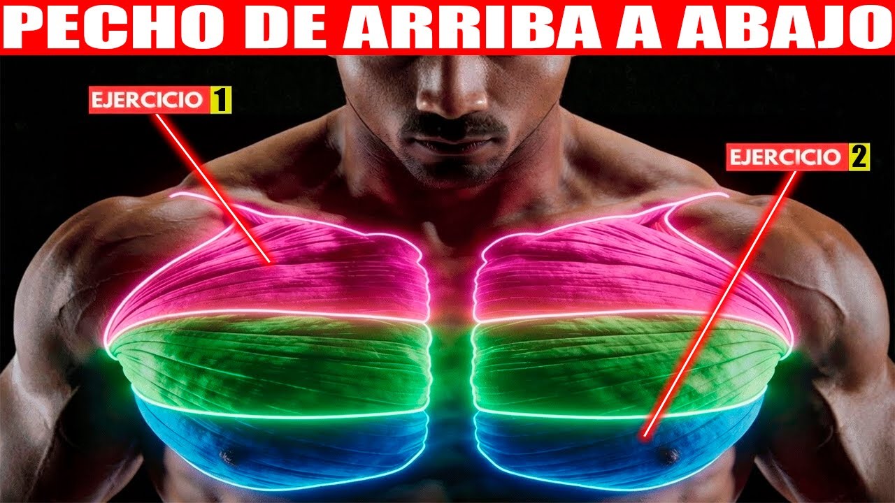 Solo 2 Ejercicios Basados en la Ciencia para Marcar el Pecho de Arriba Abajo