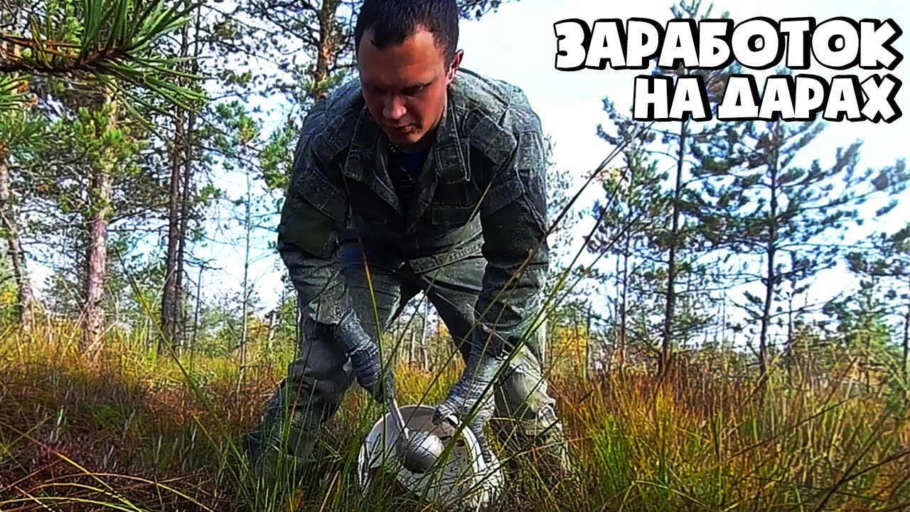 СБОР КЛЮКВЫ ЧЕРПАКОМ! ЗАРАБОТОК В ДЕРЕВНЕ НА КЛЮКВЕ!
