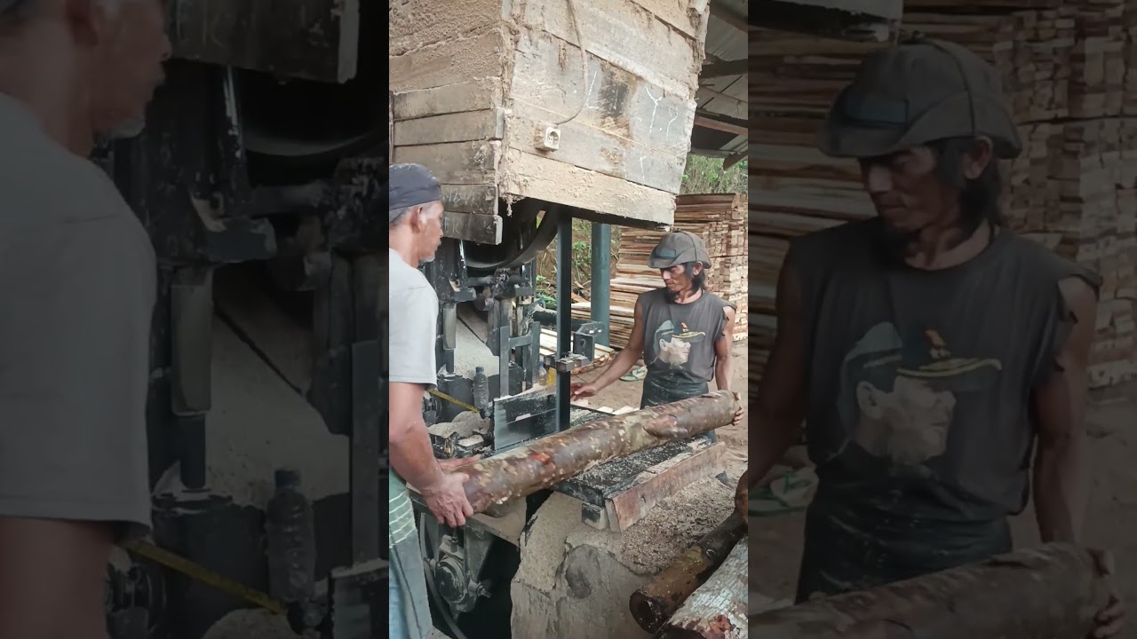 Mesin Potong Kayu Industri🪓⚙️, Produktifitas Jadi Luar Biasa 🚀 #potongkayu #woodworking #viral