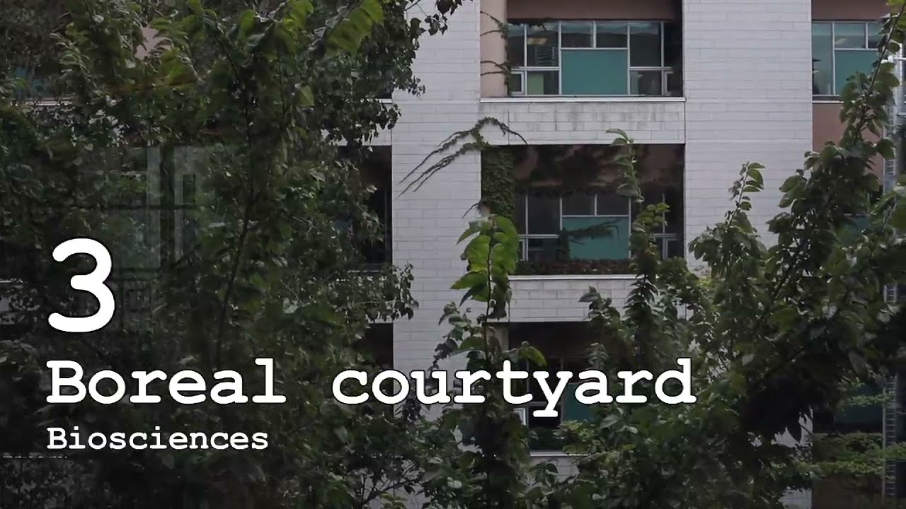 Hidden Gems Around the University of Ottawa's Campus