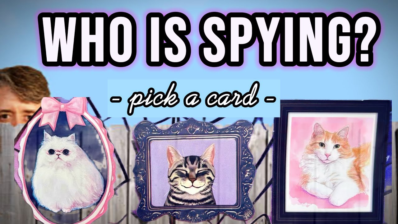 🕵️‍♂️ Who is CREEPING on You? 👀 - pick a card -