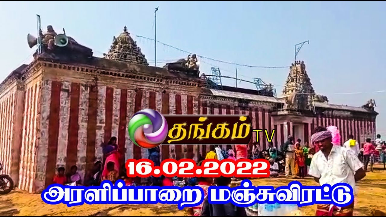 2022 அரளிப்பாறை மஞ்சுவிரட்டு | Aralipparai Manjuvirattu 2022 | Thangam Tv