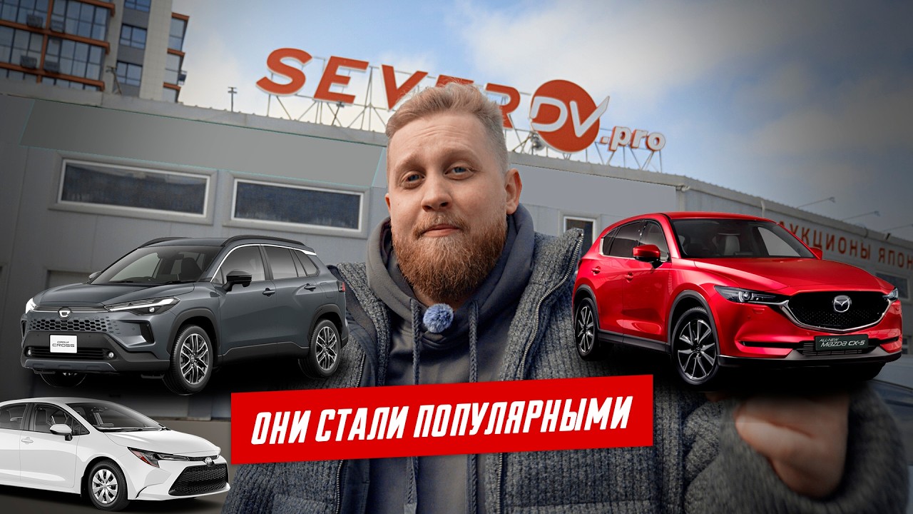 Что они берут сейчас? Покупки клиентов в 2026 году. Инструкция СЕВЕР ДВ
