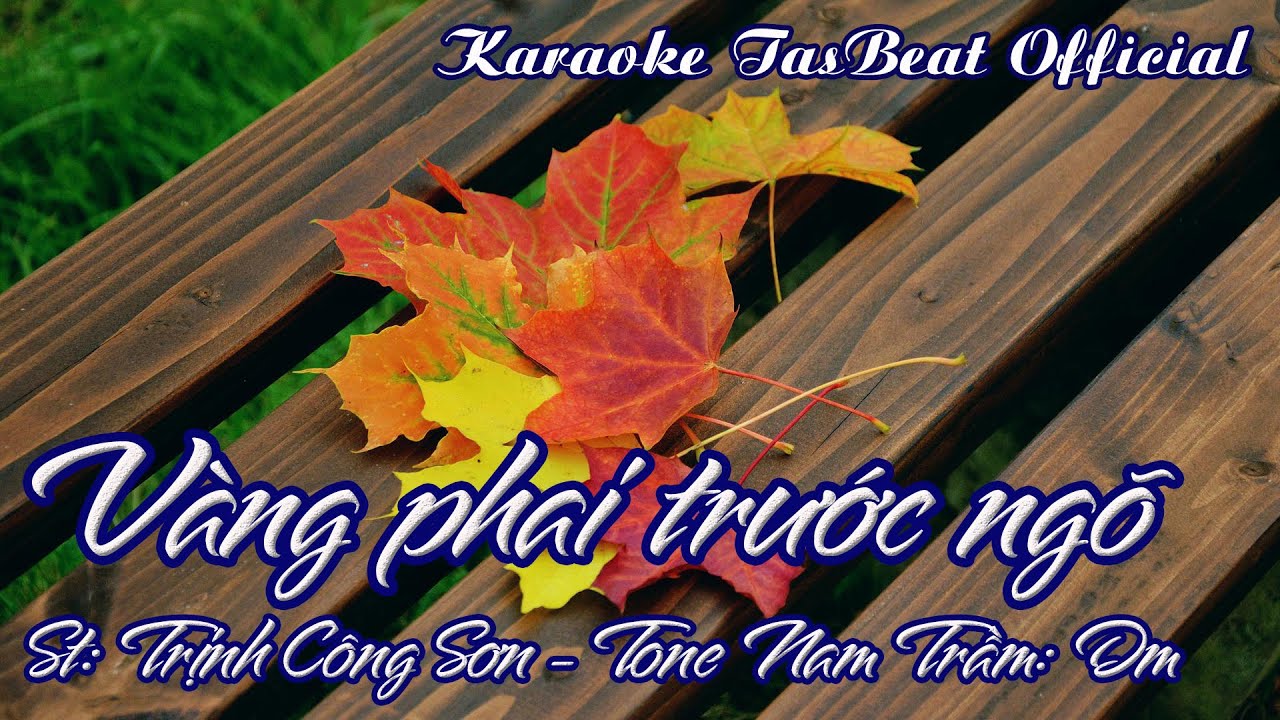 Karaoke Vàng Phai Trước Ngõ Tone Nam Trầm | TAS BEAT