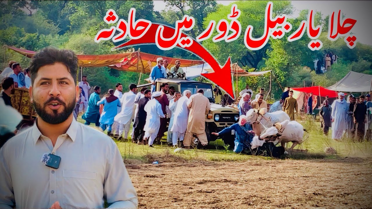 Accident in Chalayar bull race😓😢