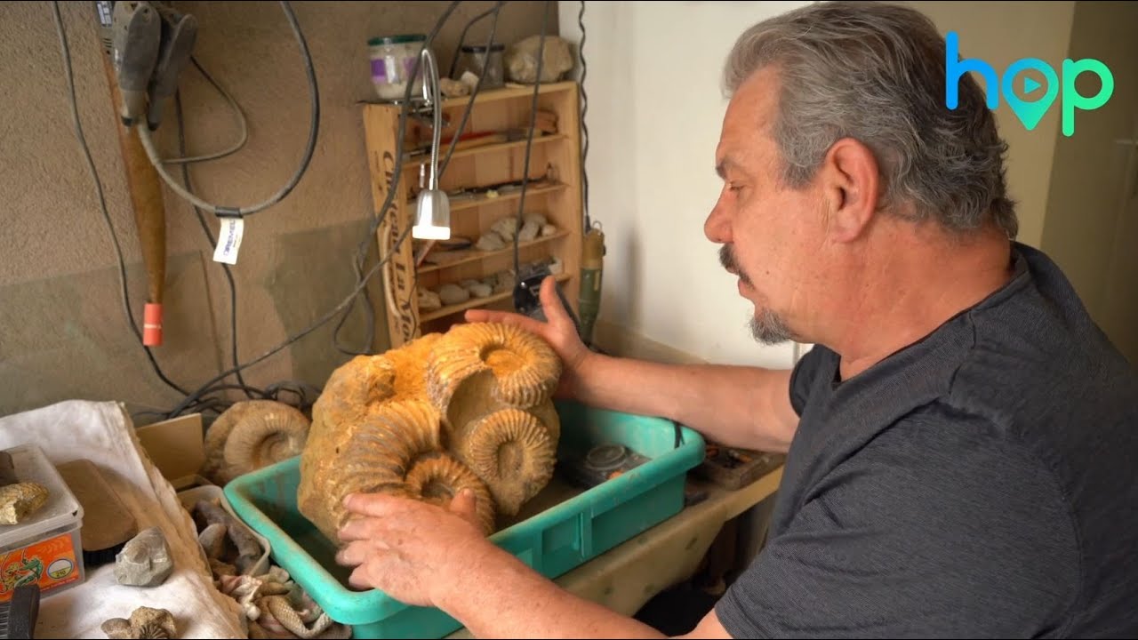 A la rencontre de Denis Augen, collectionneur de fossiles en Alsace