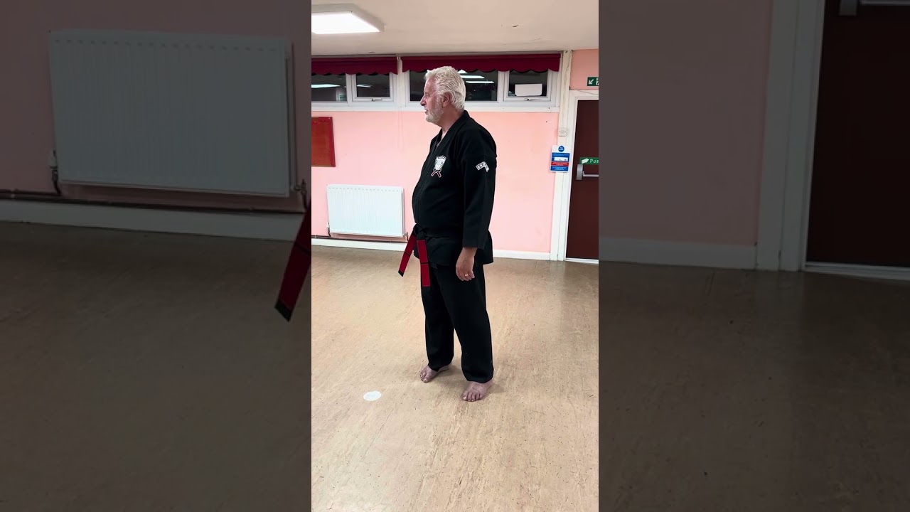 Kenpo Insights 61 First Two Moves of Short Form 1