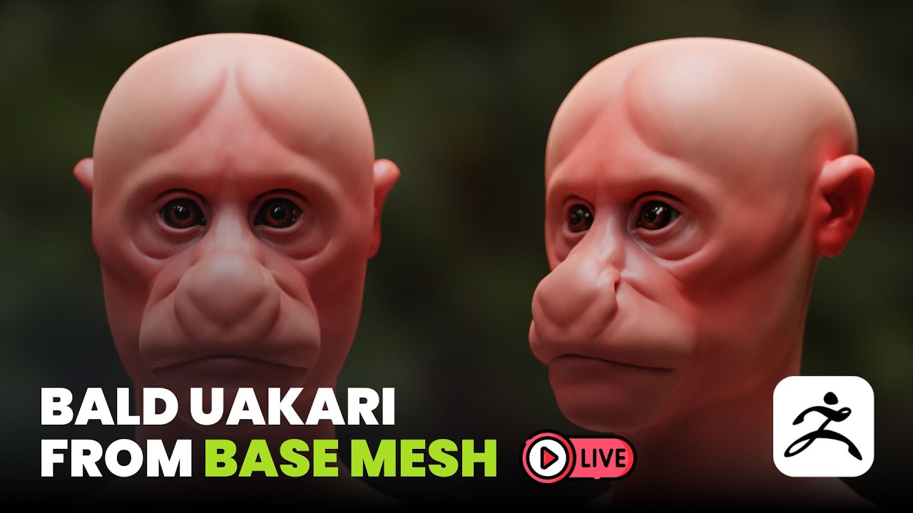 Blocking Out a Bald Uakari Creature From a Base Mesh
