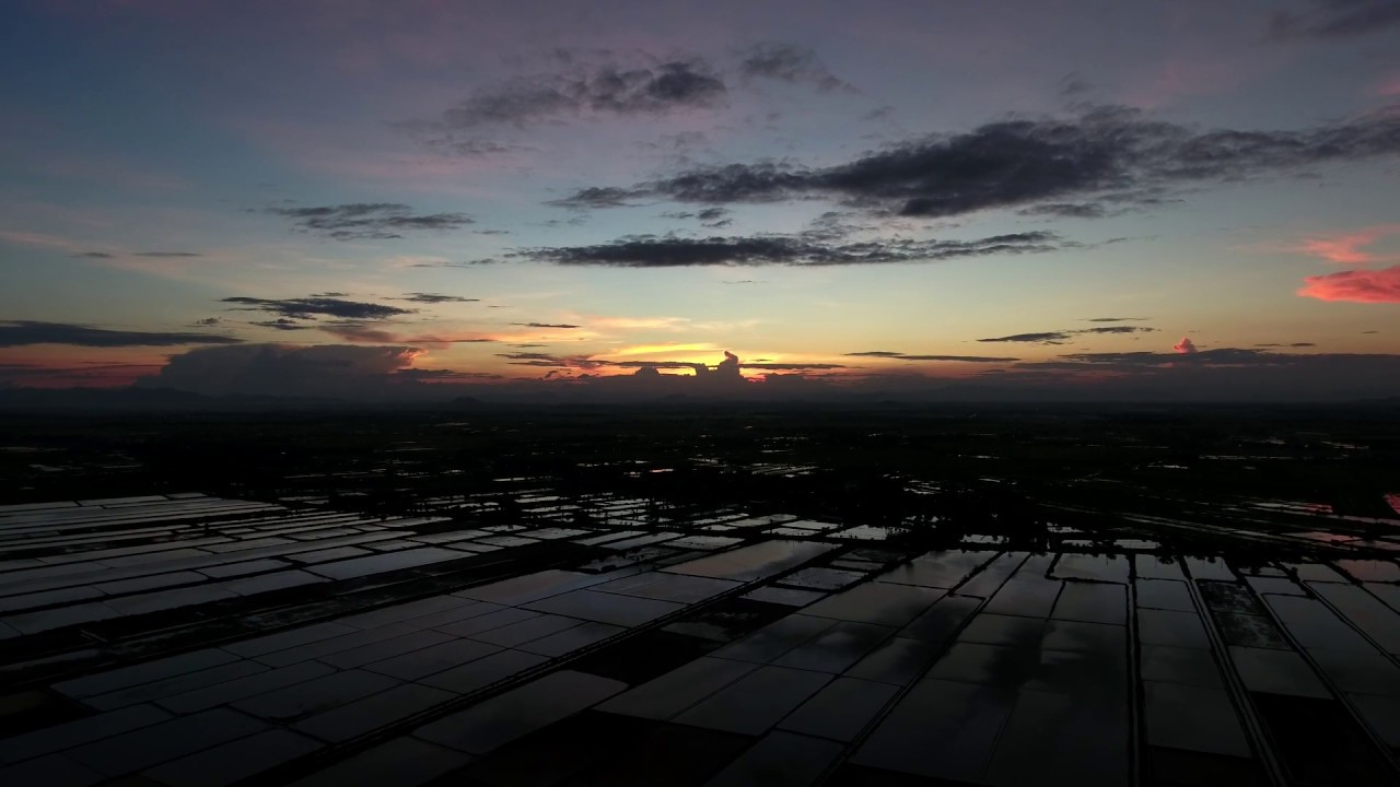 Saltfarm
