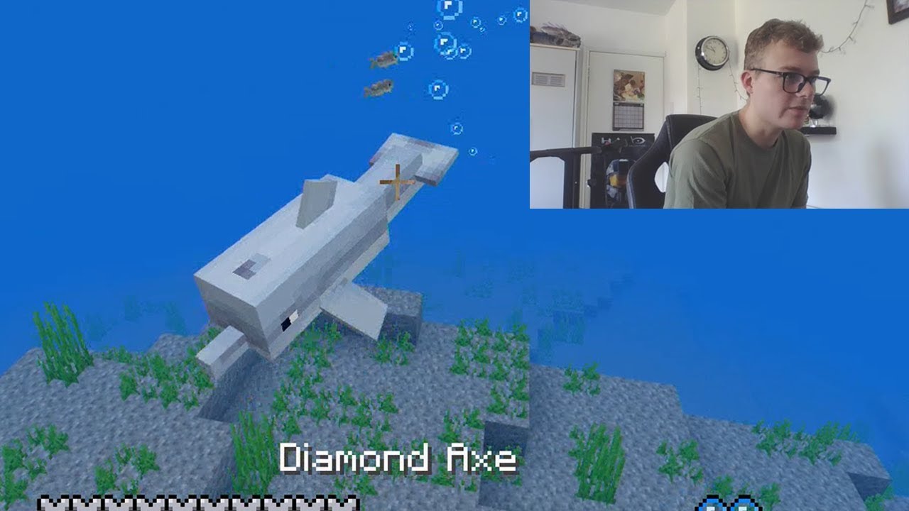 Robbing Dolphins For My Village