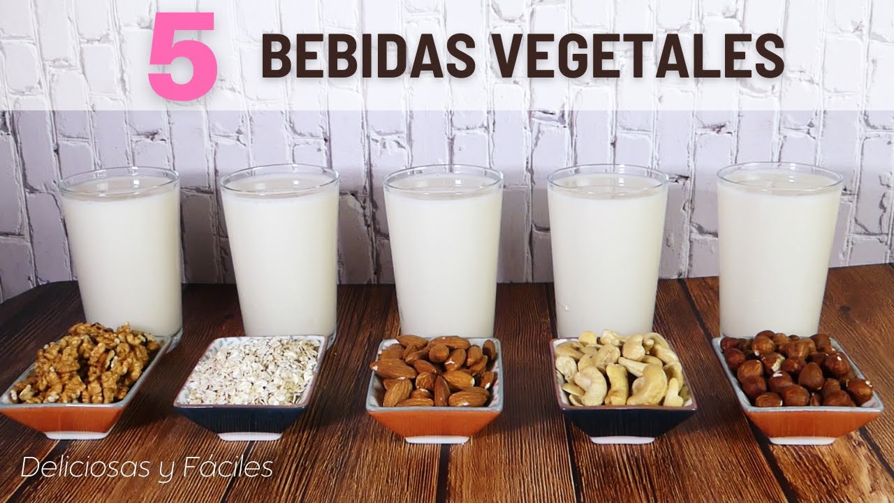 5 BEBIDAS VEGETALES I Las más Fáciles y Saludables ✅