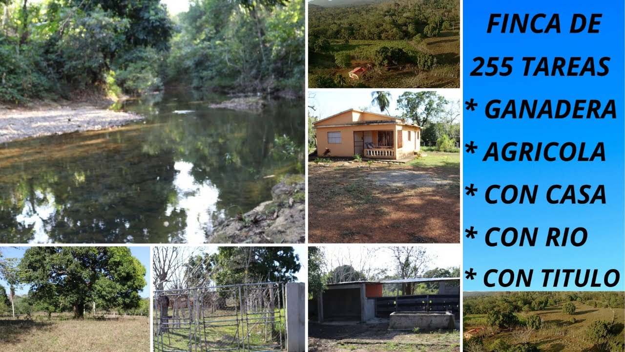 Finca 255 Tareas Ganadera Agrícola con Casa Río Título en Antón Sánchez Monte Plata Rep. Dominicana