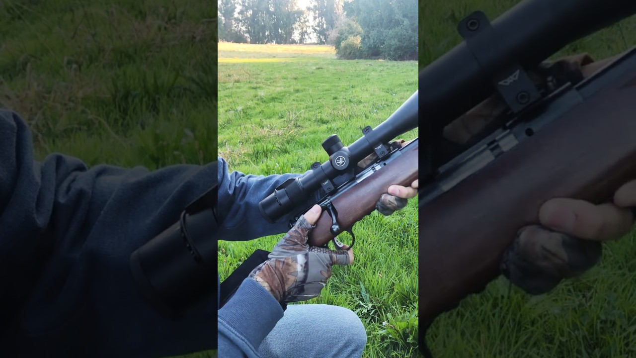 Hornady 22 Magnum 30 Grain V-Max Ammo Test #plinking #22wmr #targetshooting #22lr