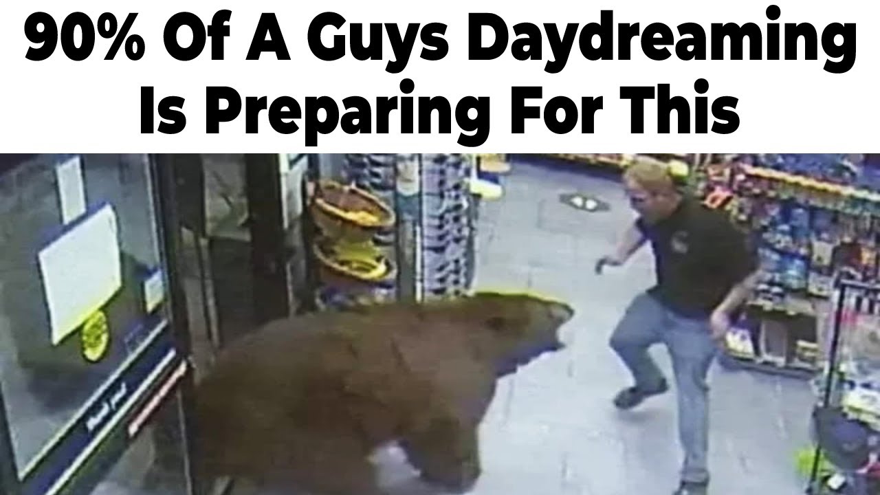 Bear Memes