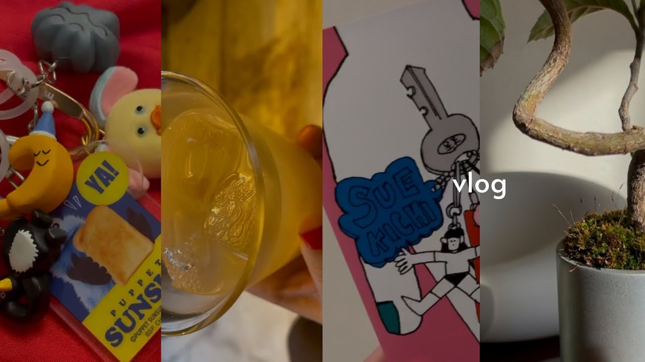 【 vlog 】バッグの中身｜本屋さん巡り｜被っても回してしまうガチャ｜蔦屋書店で過ごす｜購入品｜
