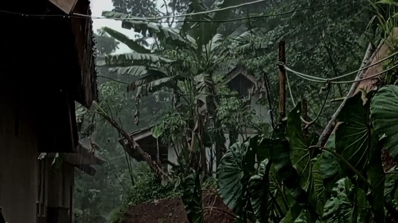heavy rain accompanied by lightning makes the rural atmosphere even more beautiful