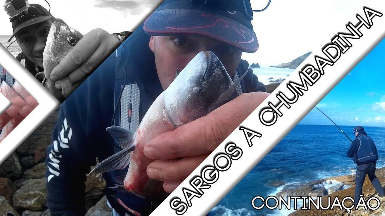 ✅ Sargos 🐟 à Chumbadinha 🎣 2