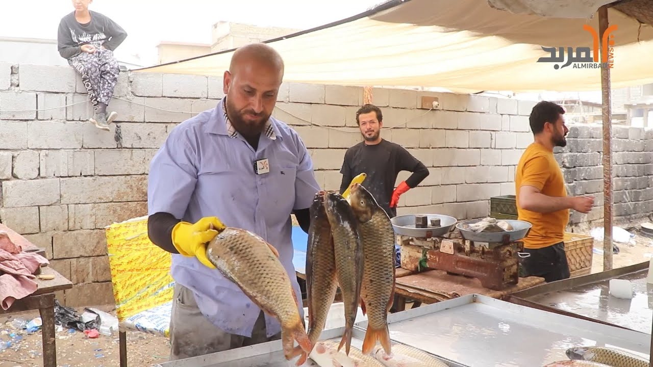 في البصرة أسعار اللحوم والأسماك.. قصاب: 