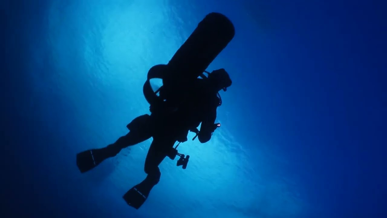 Ensenada del puerto - Radazul (buceo) l Visit Tenerife