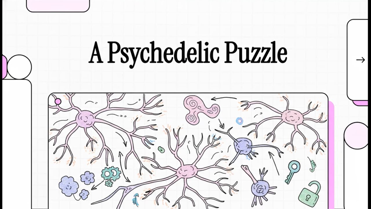Psychedelics, Neuroplasticity, & Serotonin's Intracellular 5-HT2A Receptors (Vargas et al., 2023)
