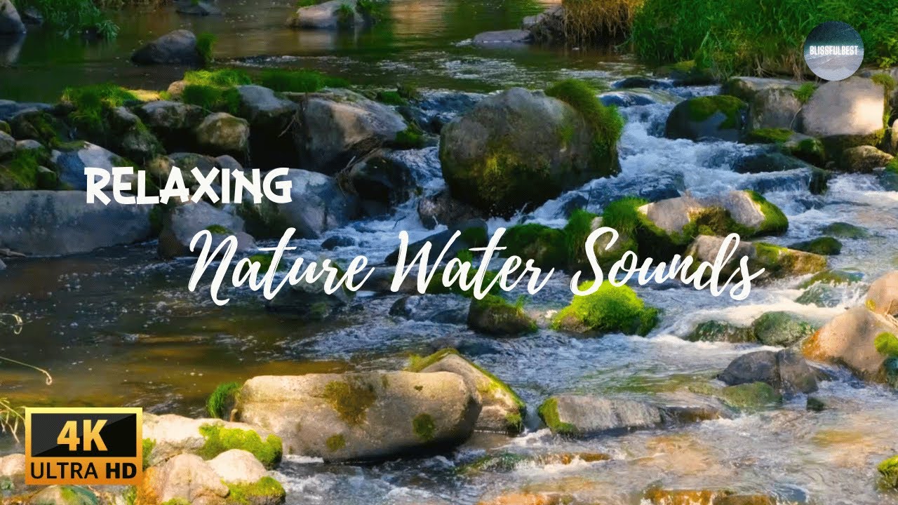 Tranquil Waters || Nature Water Sounds and Relaxing Music for Serenity and Stress Relief