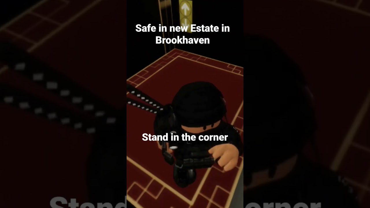 Safe in New Hotel Estate in Brookhaven #Hotel #Brookhaven #Secret #Short #Safe