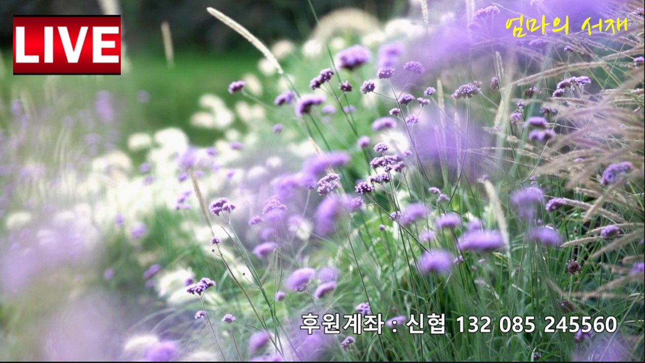 2026-02-21 토요일 엄마의서재 실시간 음악 방송 &hearts;#LIVE #7080 #소통 #감성채널 #8090 #위로 #공감 #겨울노래 #라디오 #겨울이야기 #힐링#삶#봄