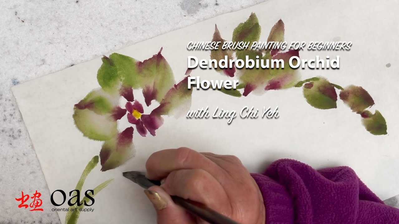 Chinese Flower Painting for Beginners Orchid Flower (Dendrobium)